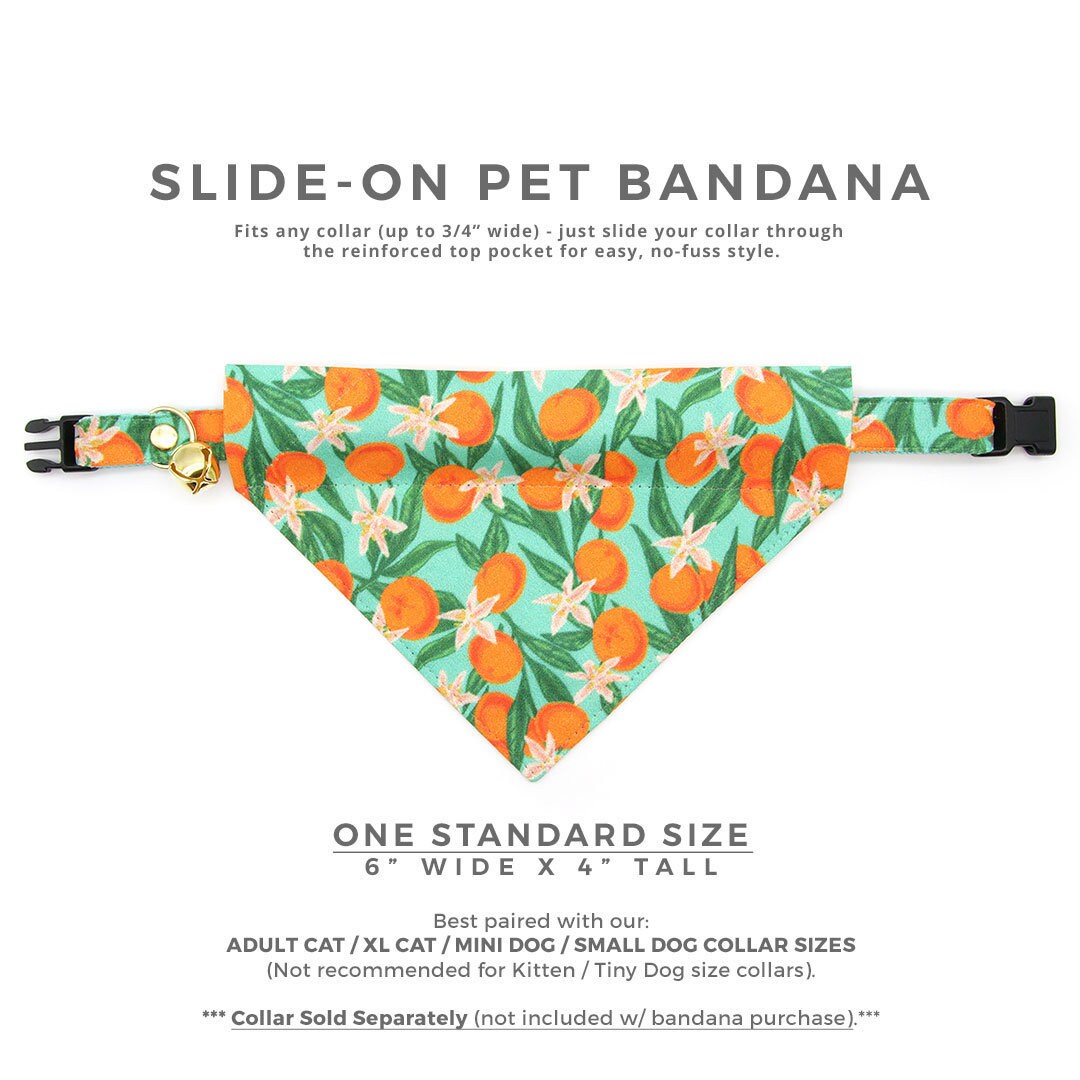Pet Bandana - "Clementine Blossom" - Mint Green & Orange Citrus Bandana for Cat + Small Dog / Spring. Summer, Tangerine, Tropical / Slide-on Bandana / Over-the-Collar (One Size)