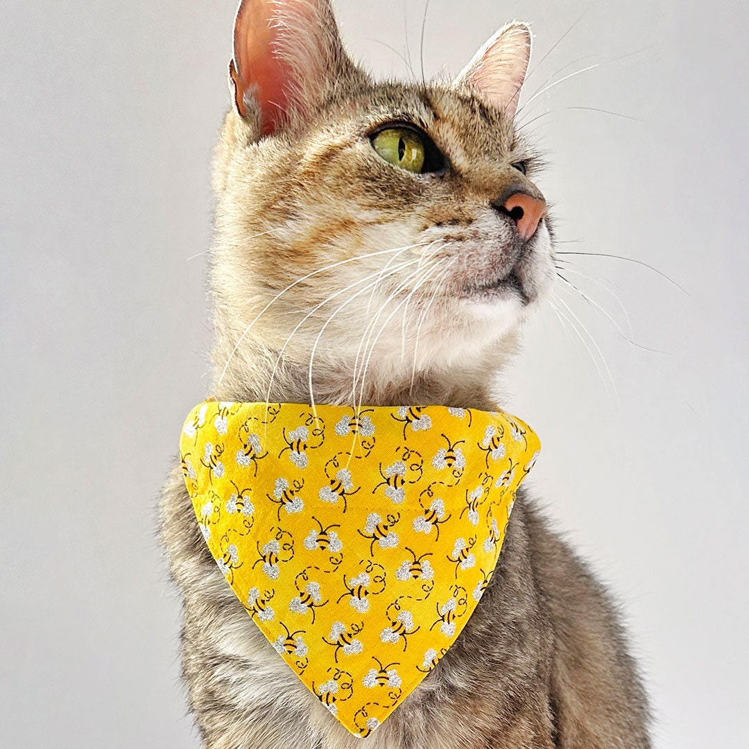 Pet Bandana - "Show Me The Honey" - Yellow Bee Bandana for Cat + Small Dog / Spring + Summer / Slide-on Bandana / Over-the-Collar (One Size)