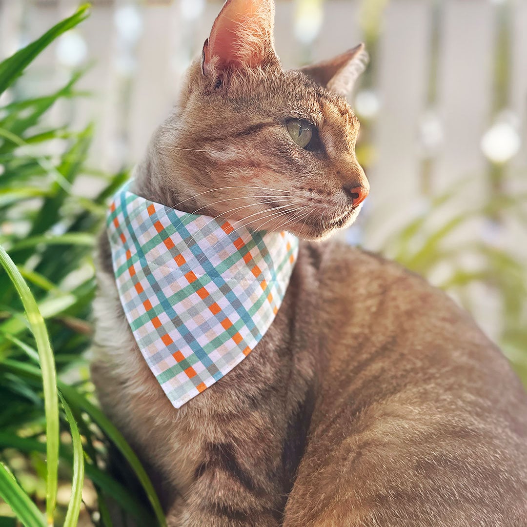 Cat Collar - "Seashore" - Ocean Blue Plaid Cat Collar / Breakaway Buckle or Non-Breakaway / Cat, Kitten + Small Dog Sizes