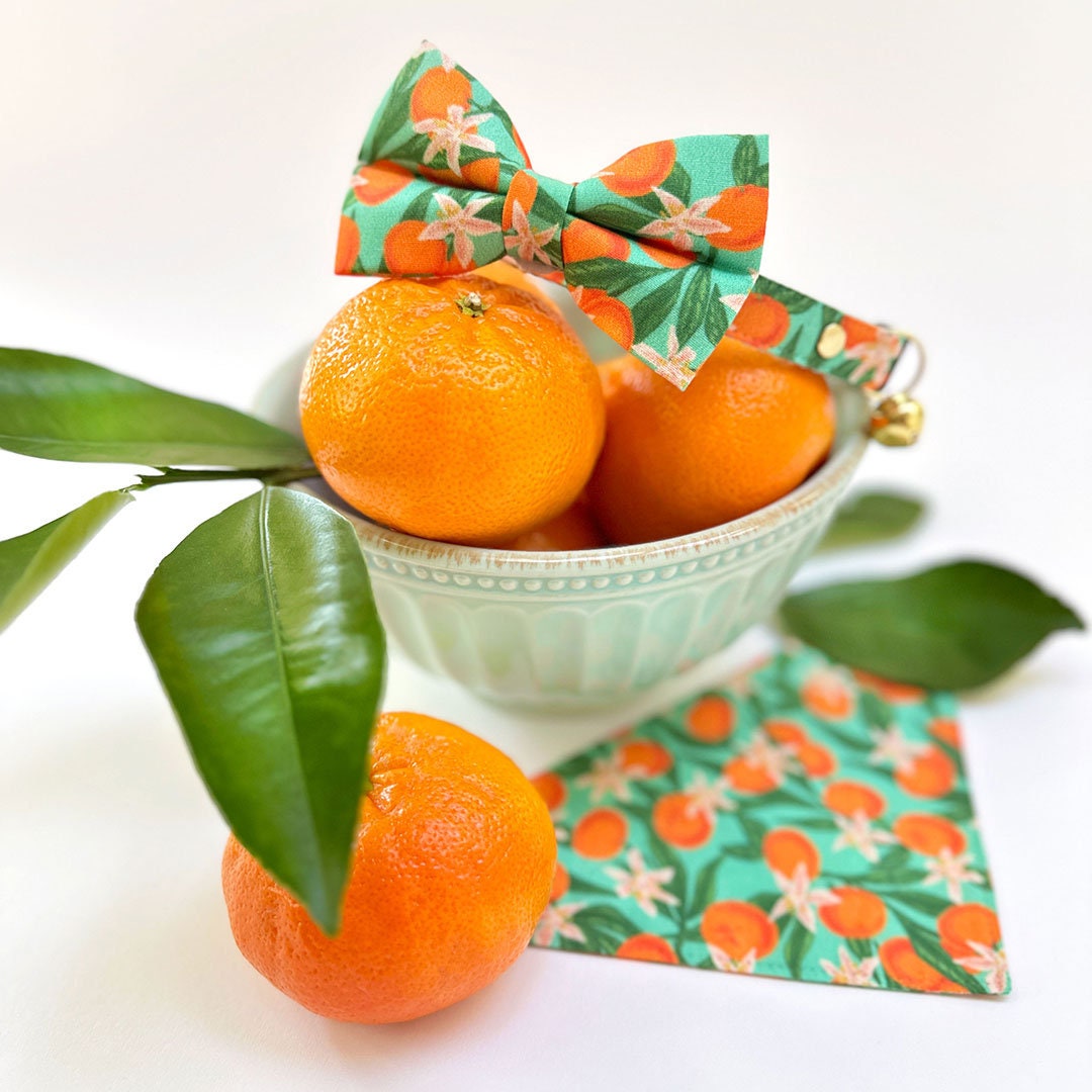Cat Collar - "Clementine Blossom" - Green & Orange Citrus Cat Collar / Breakaway Buckle or Non-Breakaway / Cat, Kitten + Small Dog Sizes