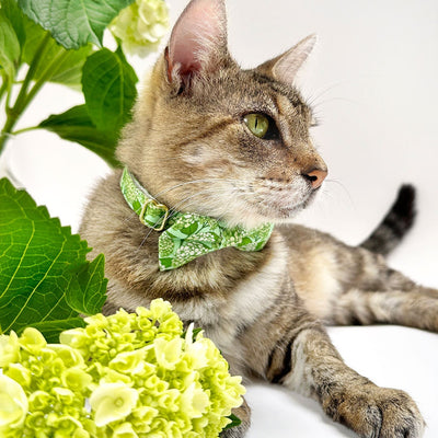 Cat Collar - "Hydrangea Hill" - Botanical Green Cat Collar / Breakaway Buckle or Non-Breakaway / Cat, Kitten + Small Dog Sizes