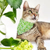 Cat Collar - "Hydrangea Hill" - Botanical Green Cat Collar / Breakaway Buckle or Non-Breakaway / Cat, Kitten + Small Dog Sizes