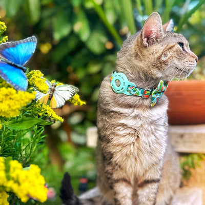 Cat Collar - "Bugs & Butterflies" - Sky Blue Insect + Butterfly Cat Collar / Breakaway Buckle or Non-Breakaway / Cat, Kitten + Small Dog Sizes