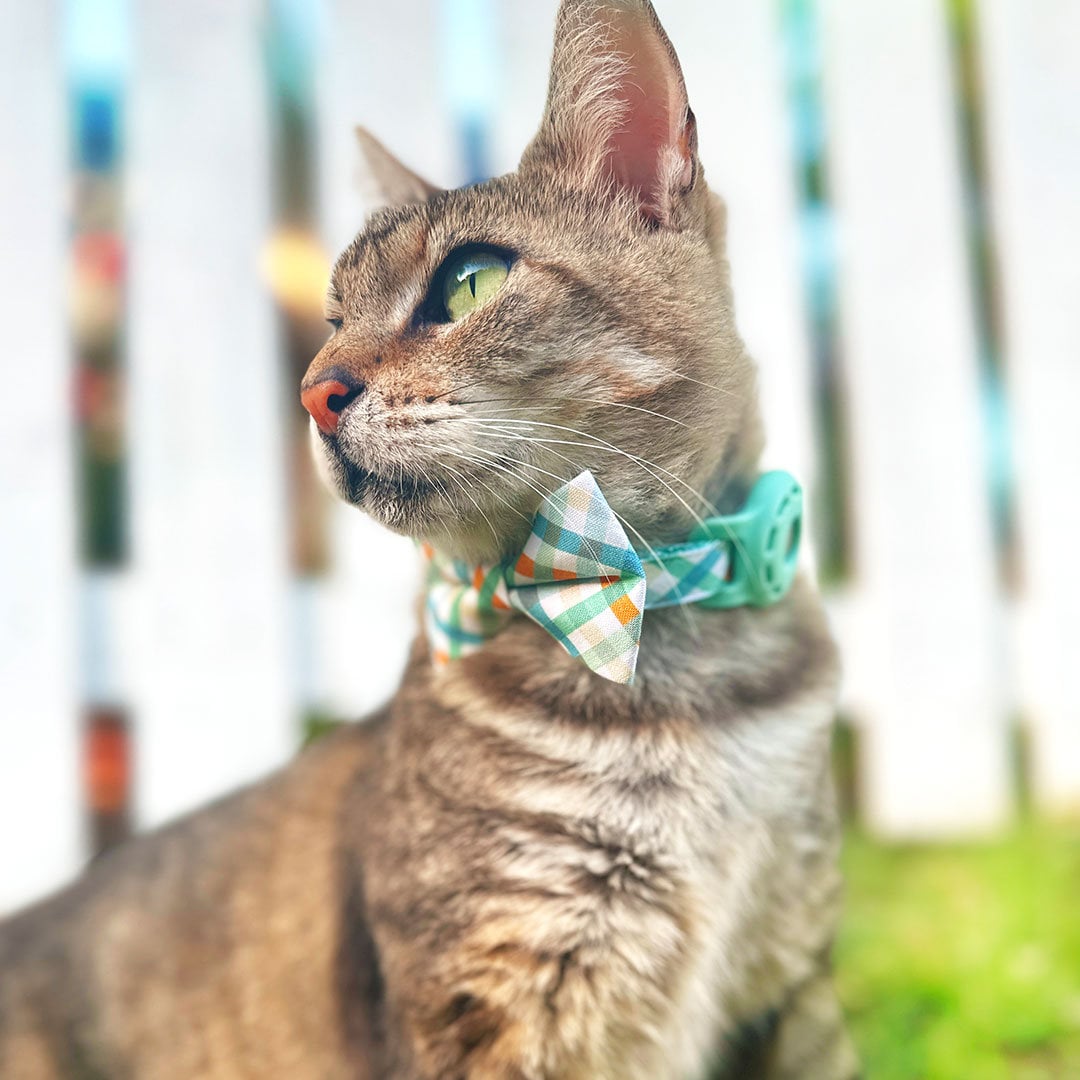 Bow Tie Cat Collar Set - "Seashore" - Ocean Blue & Mint Plaid Cat Collar w/ Matching Bowtie / Spring + Summer / Cat, Kitten, Small Dog Sizes