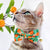 Bow Tie Cat Collar Set - "Clementine Blossom" - Mint Green & Orange Citrus Cat Collar w/ Matching Bowtie / Spring, Summer, Tangerine, Tropical / Cat, Kitten, Small Dog Sizes