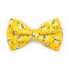 Bow Tie Cat Collar Set - "Show Me The Honey" - Yellow Bee Cat Collar w/ Matching Bowtie / Spring + Summer / Cat, Kitten, Small Dog Sizes