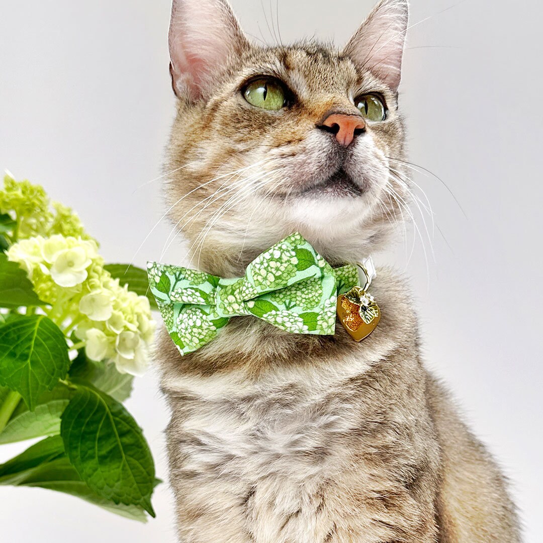 Bow Tie Cat Collar Set - "Hydrangea Hill" - Botanical Green Cat Collar w/ Matching Bowtie / Spring + Summer Floral / Cat, Kitten, Small Dog Sizes