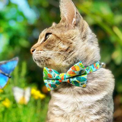 Bow Tie Cat Collar Set - "Bugs & Butterflies" - Sky Blue Insect + Butterfly Cat Collar w/ Matching Bowtie / Spring + Summer / Cat, Kitten, Small Dog Sizes
