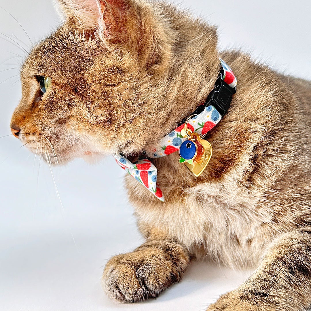 Cat Collar - "Berry Bramble" - Blueberry Cat Collar, Strawberry Blueberries Summer Fruit, Red Blue Patriotic Cat Collar / Breakaway Buckle or Non-Breakaway / Cat, Kitten + Small Dog Sizes
