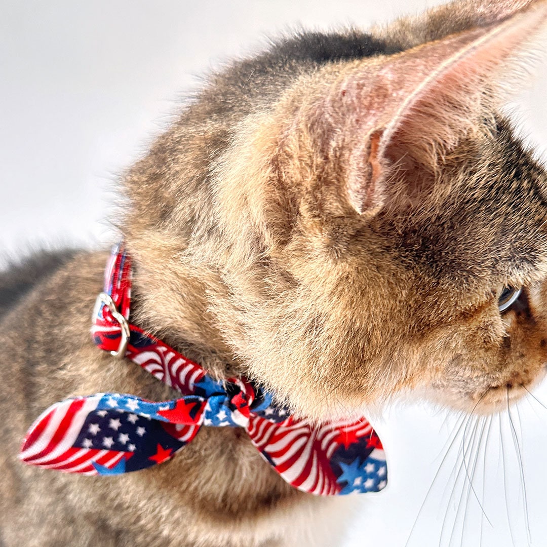 Cat Collar & Bunny Ear Bow Set - "Stars & Stripes" - 4th of July Cat Collar w/ Matching Bunny Bow Tie / Independence Day USA Flag / Patriotic / Cat, Kitten + Small Dog Sizes