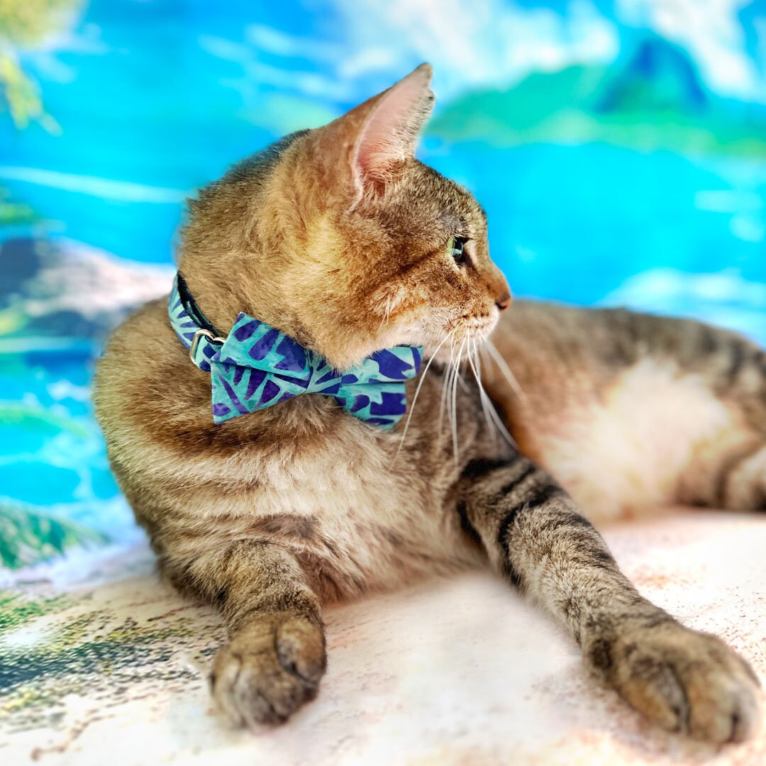Tropical Cat Bow Tie - "Blue Lagoon" - Blue Bow Tie for Cat / Summer, Beach, Hawaiian, Tiki, Shark, Cool / Cat + Small Dog