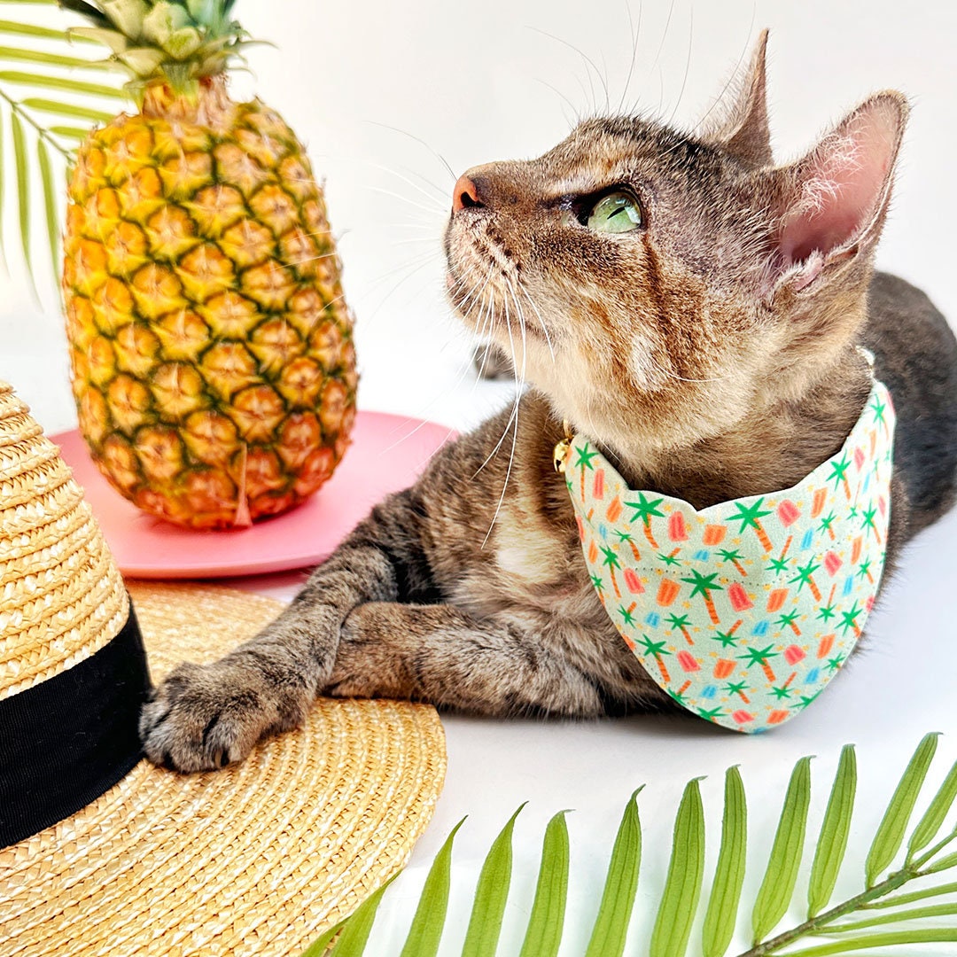 Tropical Cat Collar - "Palms & Popsicles - Green" - Palm Tree Popsicle Cat Collar / Summer, Food / Breakaway Buckle or Non-Breakaway / Cat, Kitten + Small Dog Sizes
