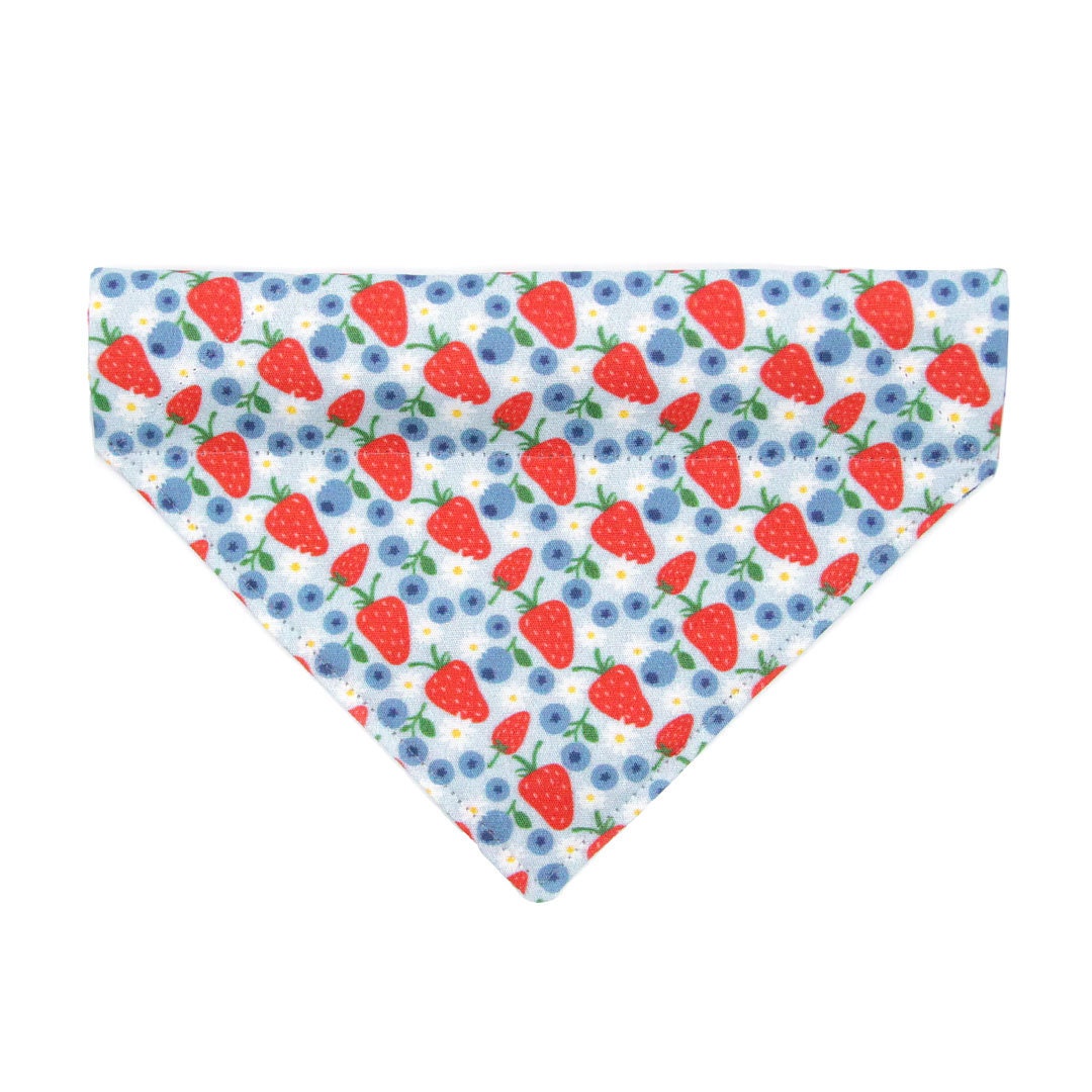 Cat Bandana - "Berry Bramble" - Blueberry Bandana for Cat + Small Dog/Summer, Patriotic, Blue, 4th of July, Strawberry Fruit Cat Bandana