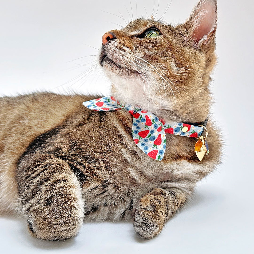 Cat Collar & Bunny Ear Bow Set - "Berry Bramble" - Strawberry & Blueberry Cat Collar w/ Matching Bunny Bow Tie / Summer Fruit, Patriotic, 4th of July, Red & Blue / Cat, Kitten + Small Dog Sizes