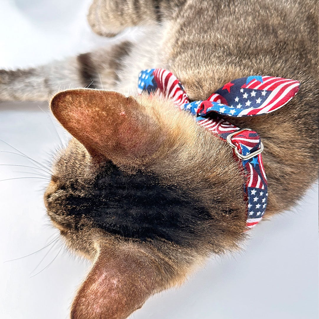Cat Collar & Bunny Ear Bow Set - "Stars & Stripes" - 4th of July Cat Collar w/ Matching Bunny Bow Tie / Independence Day USA Flag / Patriotic / Cat, Kitten + Small Dog Sizes