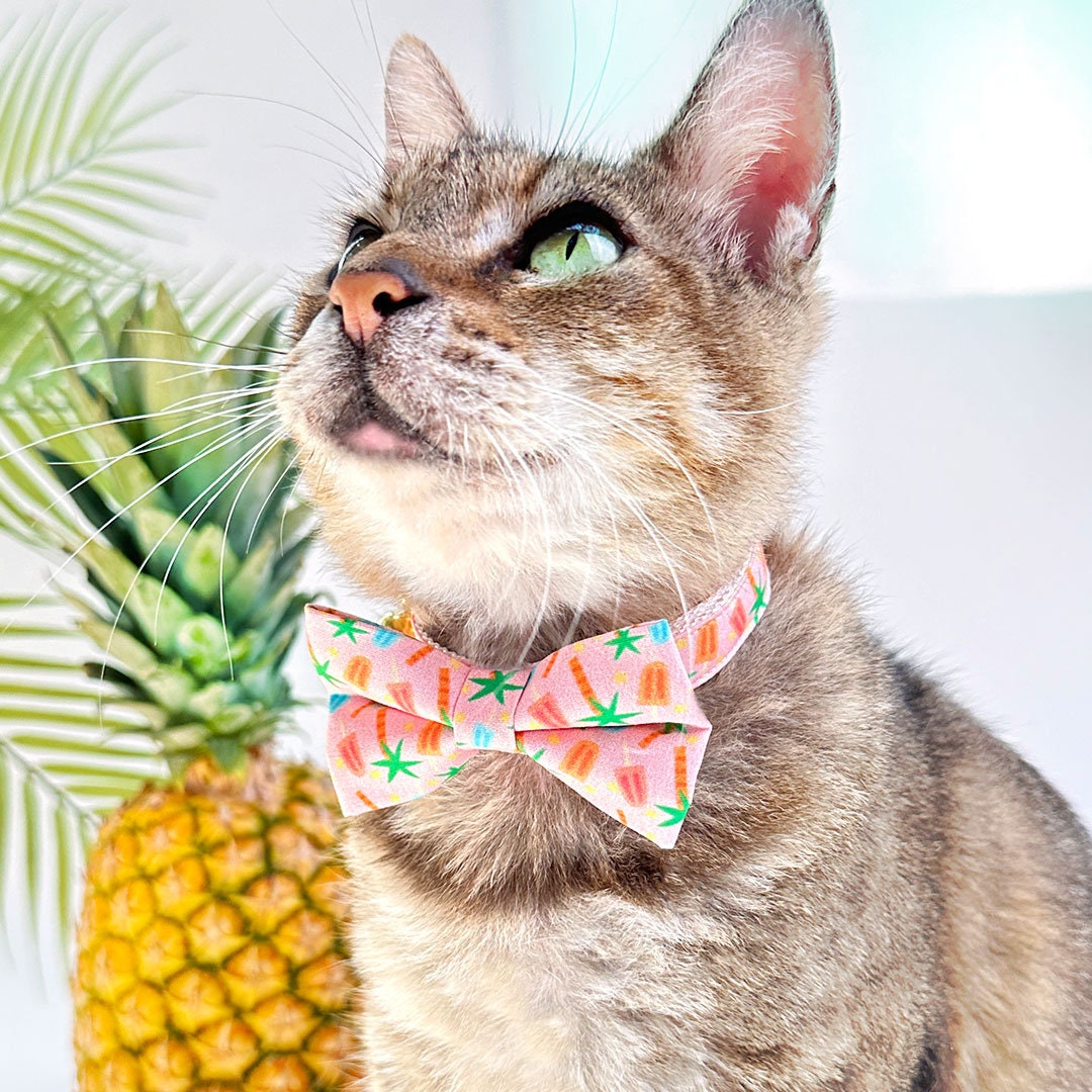 Popsicle Cat Bow Tie - "Palms & Popsicles - Pink" - Palm Tree Tropical Bow Tie for Cat / Summer Ice Cream Beach / Cat + Small Dog Bowtie