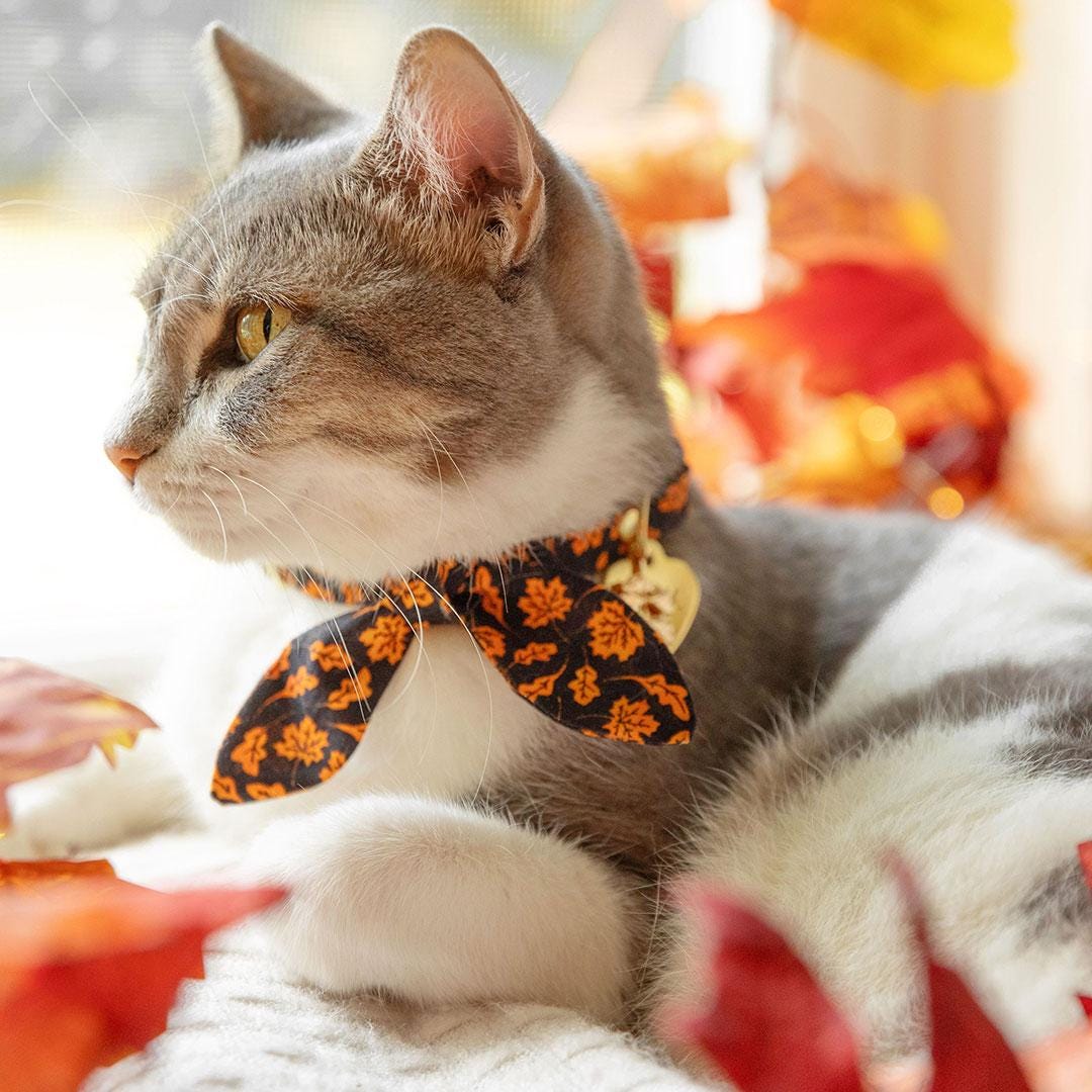 Cat Collar & Bunny Ear Bow Set - "Autumn Night" - Black Orange Leaves Fall Cat Collar w/ Matching Bunny Bow Tie / Halloween, Thanksgiving / Cat, Kitten + Small Dog Sizes