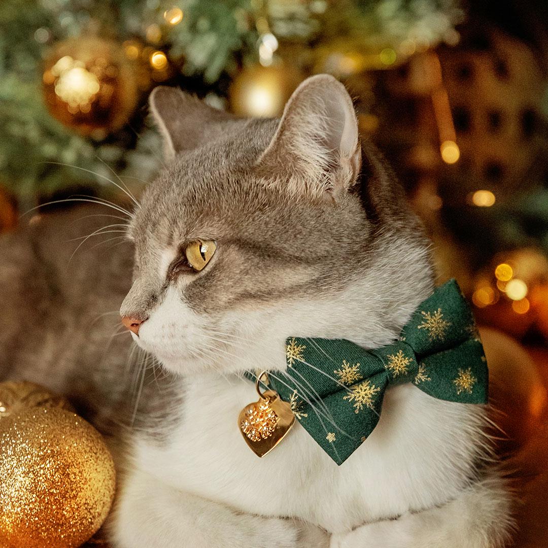 Holiday Cat Bow Tie - "Juniper" - Christmas Green & Gold Snowflake Bow Tie for Cat / Winter Snow / Cat + Small Dog Bowtie