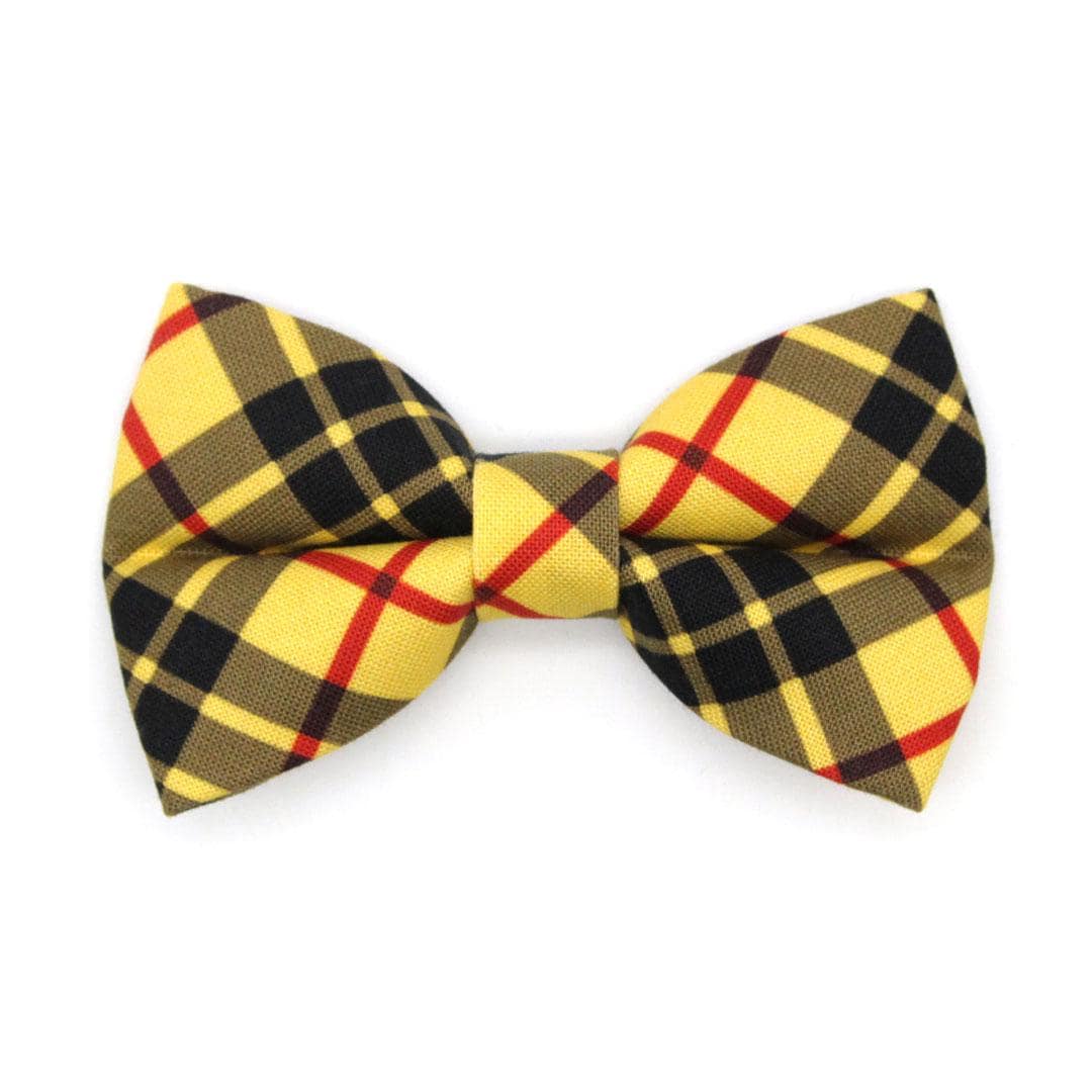Cat Bow Tie - "Iconic" - Yellow Macleod Tartan Plaid Bow Tie for Cat / Cat + Small Dog Bowtie