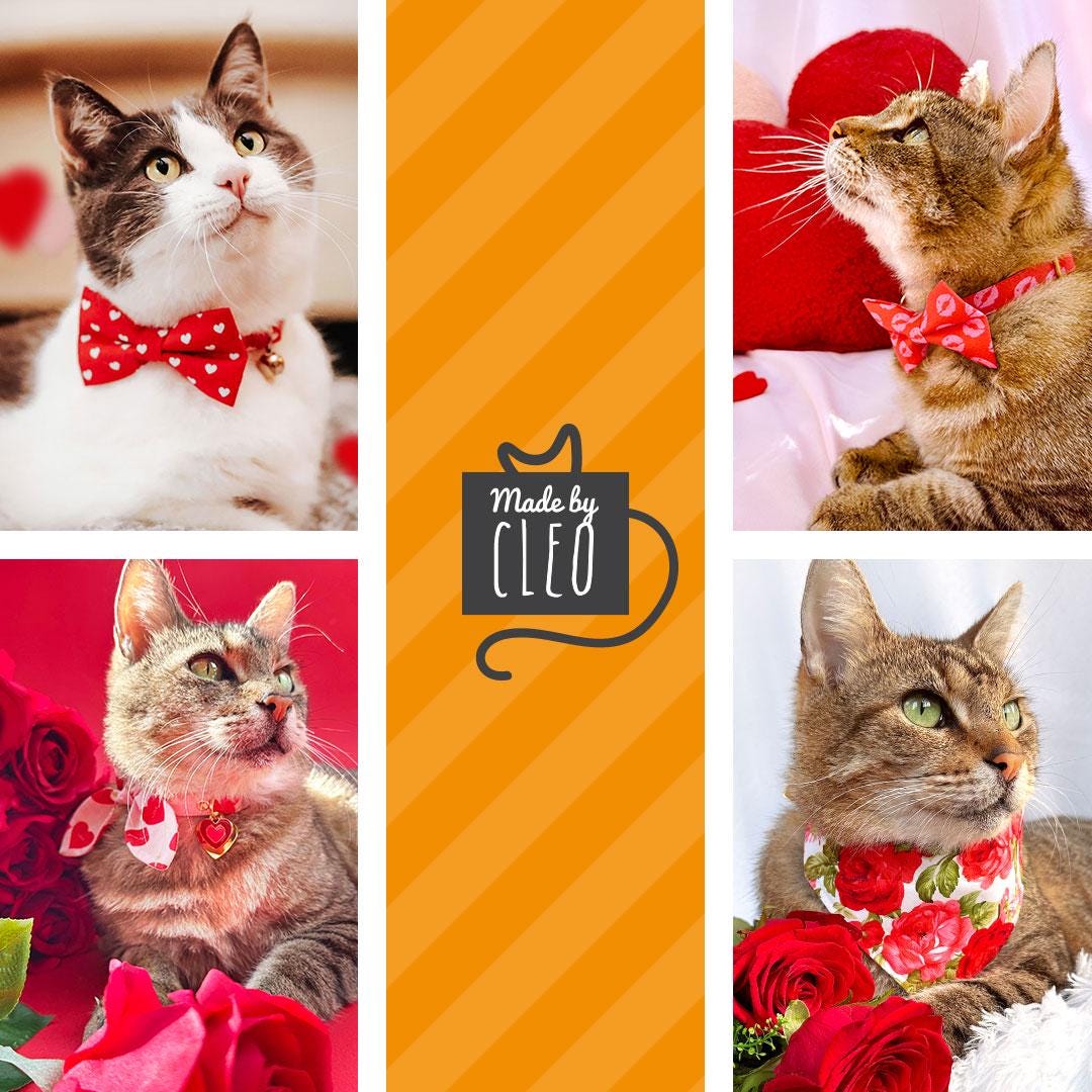 Cat Collar & Bunny Ear Bow Set - "Lovestruck" - Valentine's Day Heart Cat Collar w/ Matching Bunny Bow Tie / Tie-On Scarf / Cat, Kitten + Small Dog Sizes