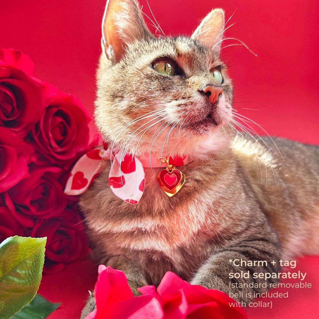 Cat Collar & Bunny Ear Bow Set - "Lovestruck" - Valentine's Day Heart Cat Collar w/ Matching Bunny Bow Tie / Tie-On Scarf / Cat, Kitten + Small Dog Sizes