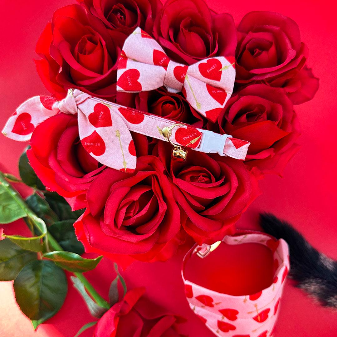 Valentine's Day Cat Bandana - "Lovestruck" - Pink & Red Cupid Hearts Bandana for Cat + Small Dog / Slide-on Bandana / Over-the-Collar