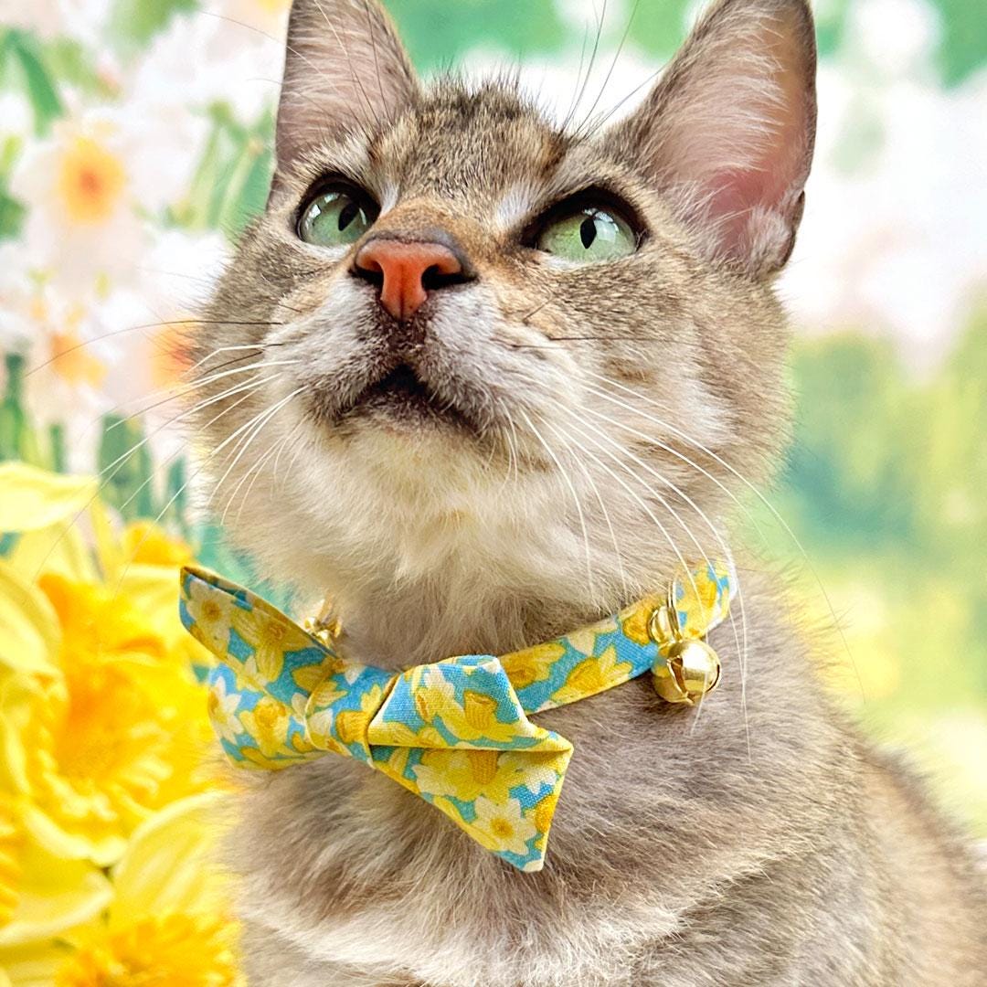 Cat Collar - "Daffodils" - Yellow Spring Daffodil Cat Collar / Easter Floral / Breakaway Buckle or Non-Breakaway / Cat, Kitten + Small Dog Sizes
