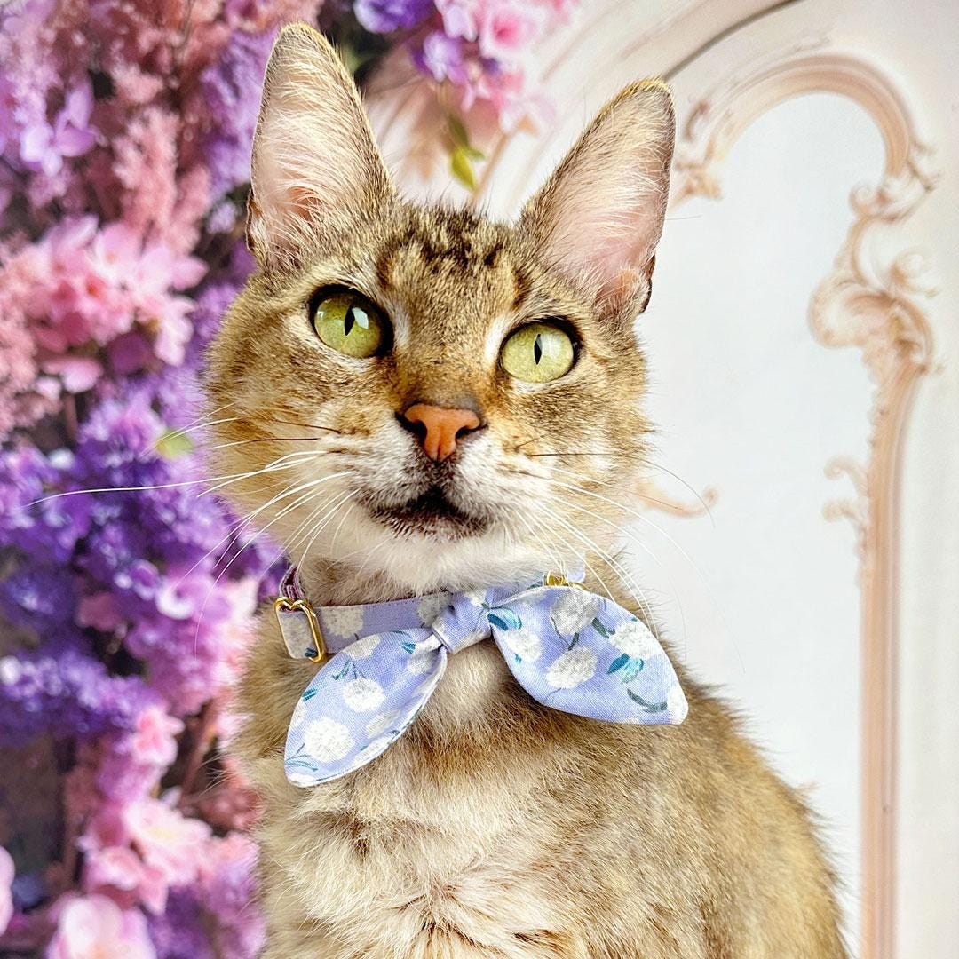 Cat Collar - "Periwinkle Peony" - Light Purple Floral Cat Collar / Spring, Easter, Lavender, Lilac / Breakaway Buckle or Non-Breakaway / Cat, Kitten + Small Dog Sizes