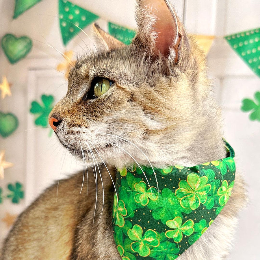 St. Patrick's Day Cat Bandana - "Irish Garden" - Green Shamrock Bandana for Cat + Small Dog / Spring, Irish, Lucky / Slide-On Over the Collar Bandana