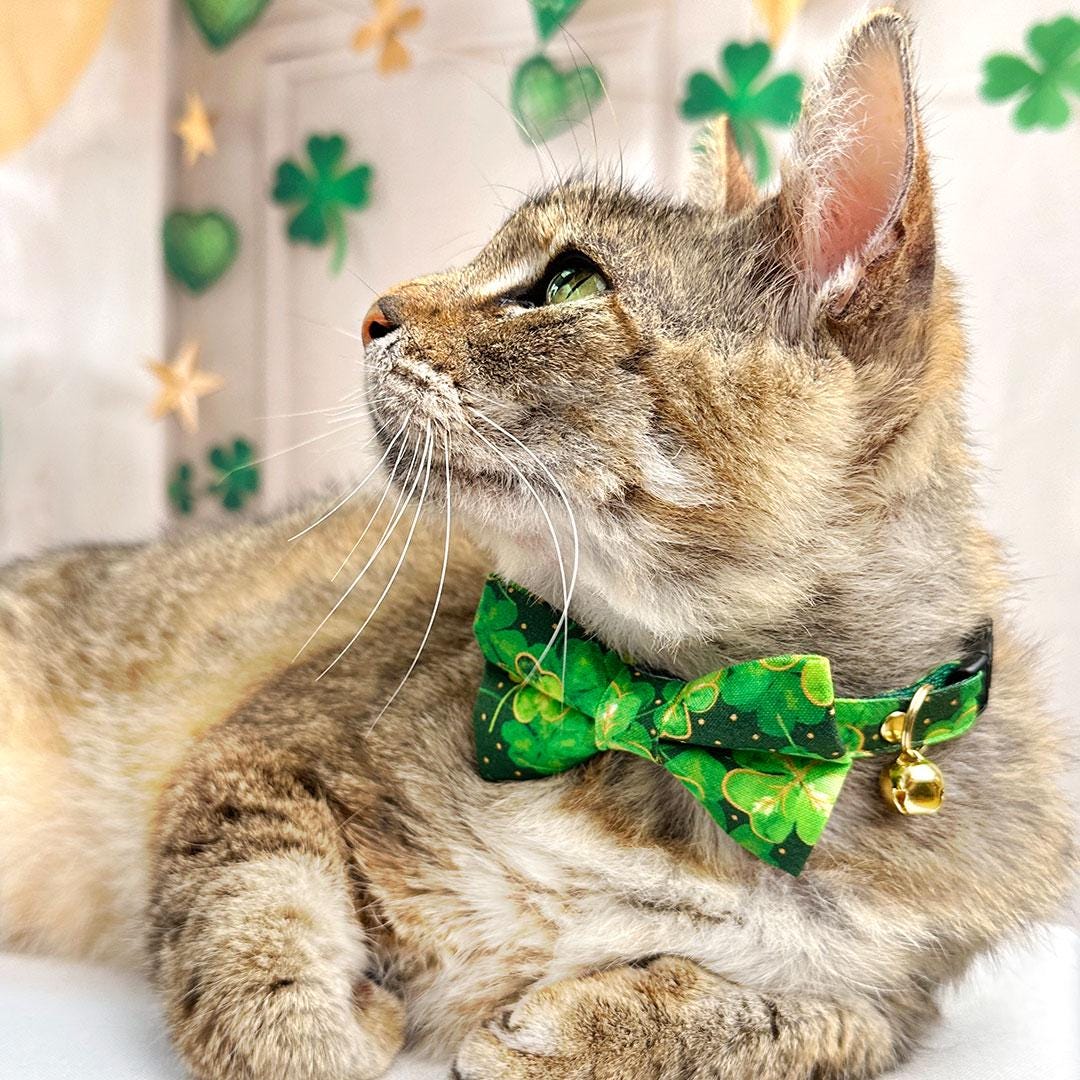 Cat Collar - "Irish Garden" - St. Patrick's Day Green Shamrock Cat Collar / Breakaway or Non-Breakaway / Lucky Clover / Cat + Small Dog