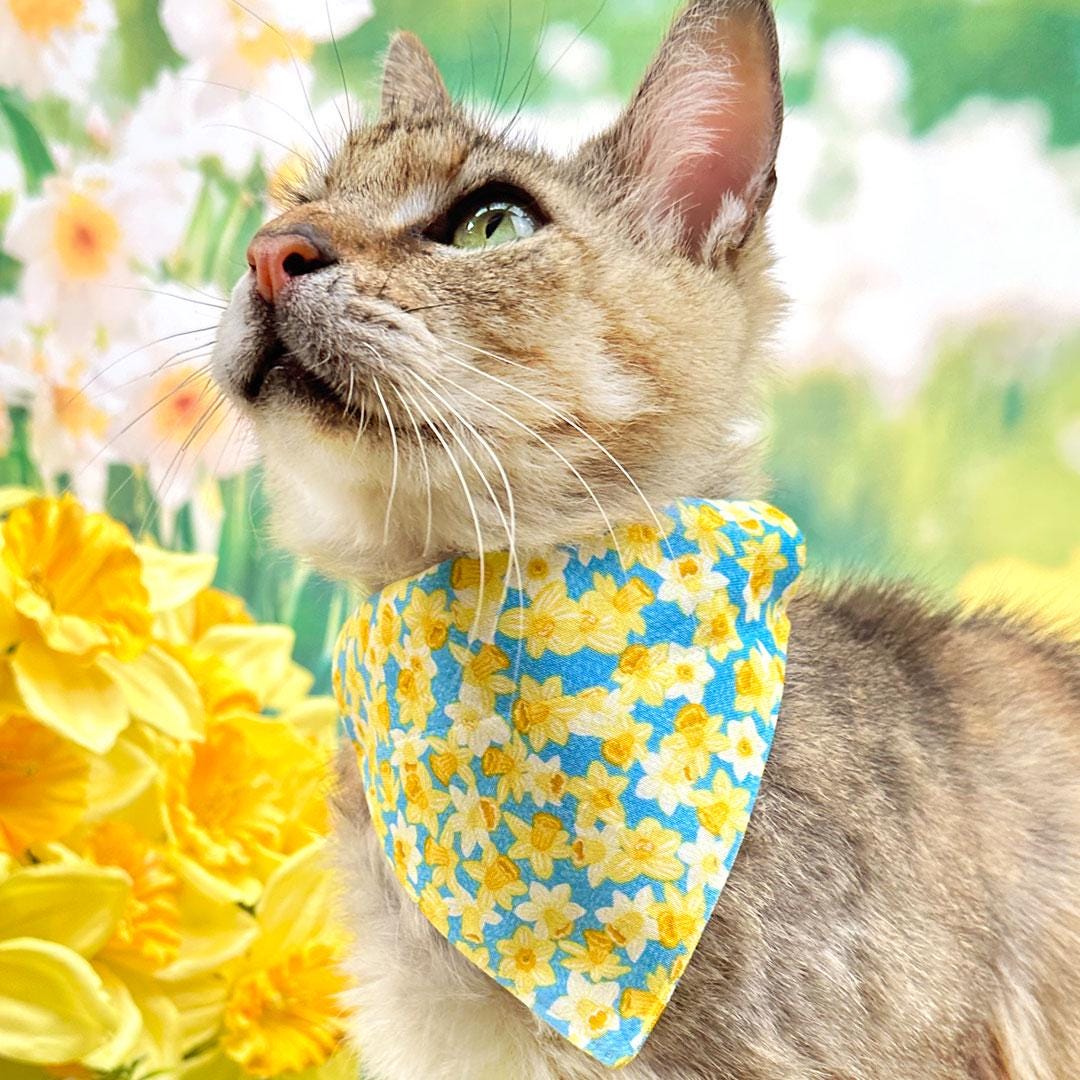 Cat Bandana - "Daffodils" - Yellow Floral Daffodil Bandana for Cat + Small Dog / Easter Floral / Slide-on Bandana / Over-the-Collar