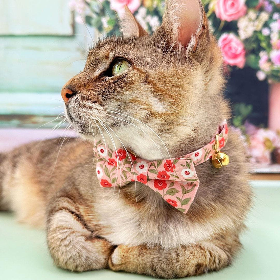 Bow Tie Cat Collar Set - "Posies" - Floral Pink Cat Collar with Bow Tie / Spring, Easter, Valentine's Day / Cat, Kitten, Small Dog Sizes