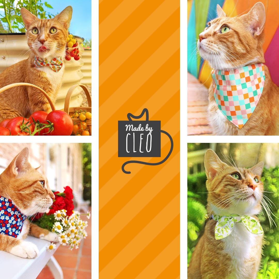 Cat Collar & Bunny Ear Bow Set - "Football" - Sports Green Football Cat Collar w/ Matching Bunny Bow Tie / Tie-On Scarf / Cat, Kitten + Small Dog Sizes