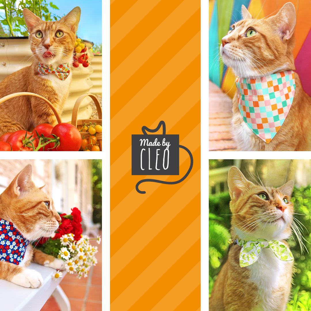 Shark Cat Bandana - "Fintastic" - Blue Fish Bandana for Cat + Small Dog / Ocean, Sea, Goldfish, Summer, Aquatic / Slide-on Bandana / Over-the-Collar