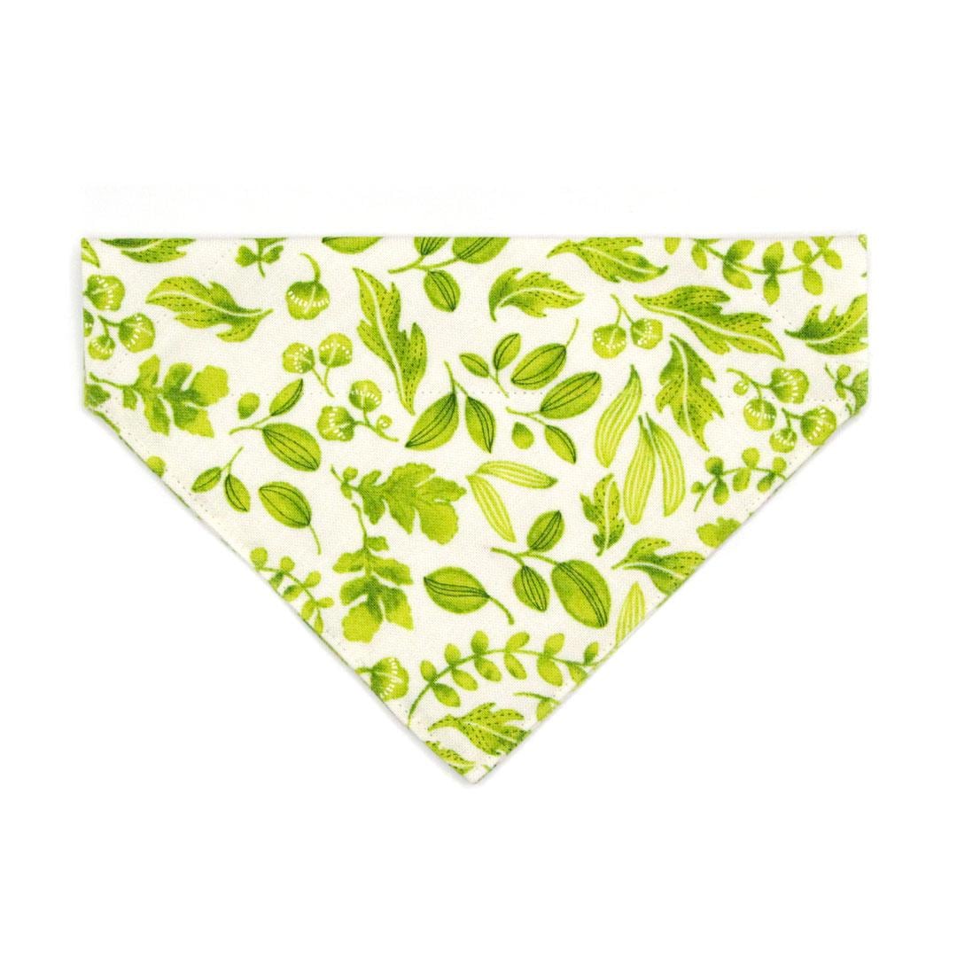 Nature Cat Bandana - "Herb Garden" - Leafy Green Botanical Bandana for Cat + Small Dog / Leaf, Forest, Fern, Basil, Spring, Summer / Slide-on Bandana / Over-the-Collar