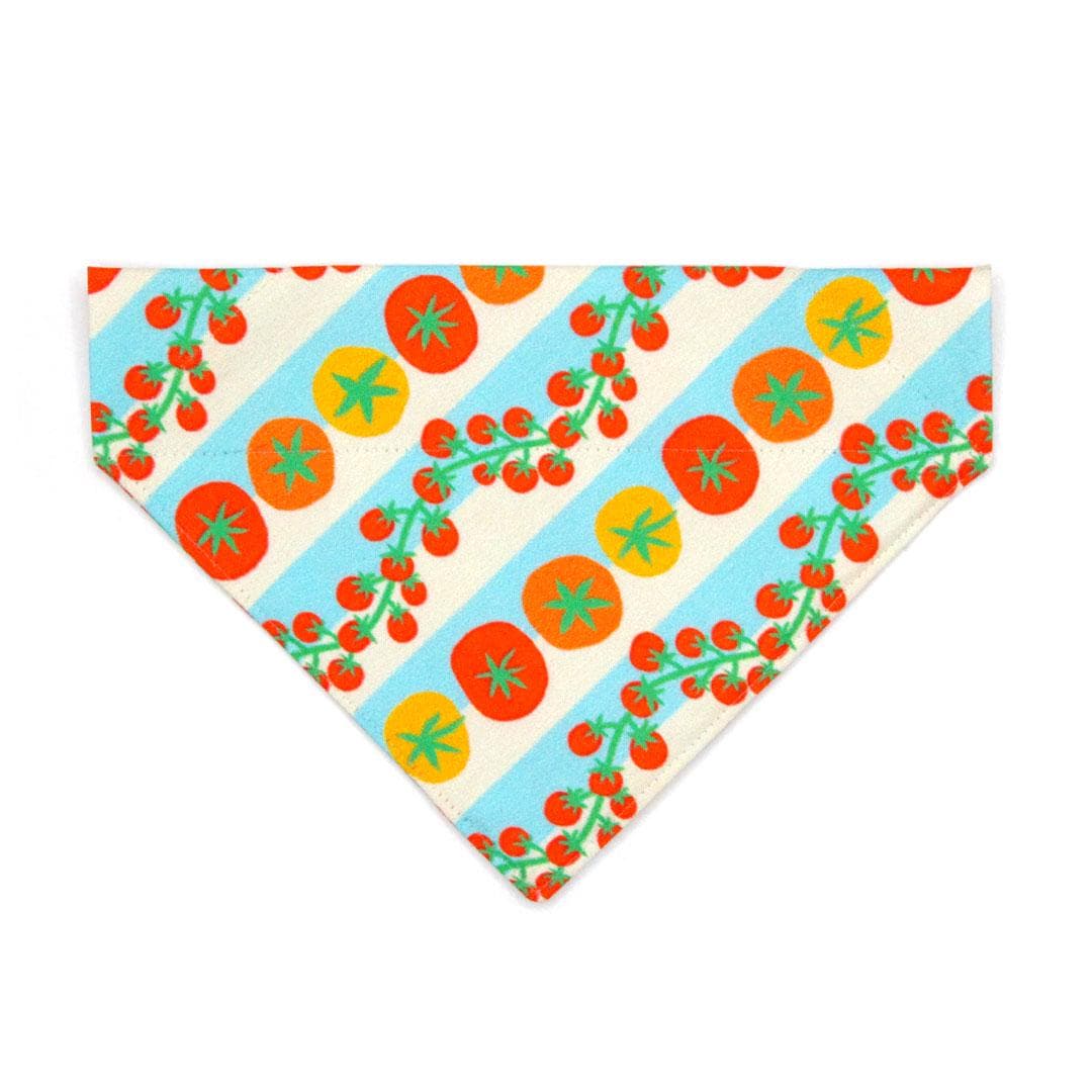 Tomato Cat Bandana - "Tomato Trellis" - Retro Striped Garden Cherry Tomatoes Bandana for Cat + Small Dog / Spring, Summer, Groovy 70s Retro / Slide-on Bandana / Over-the-Collar