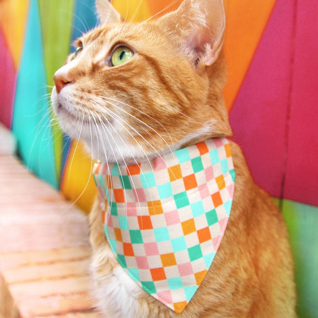 Checkered Cat Collar - "Checkmate" - Pastel Checked Cat Collar / Summer, Fall, Groovy Y2K, Fun / Breakaway Buckle or Non-Breakaway / Cat, Kitten + Small Dog Sizes
