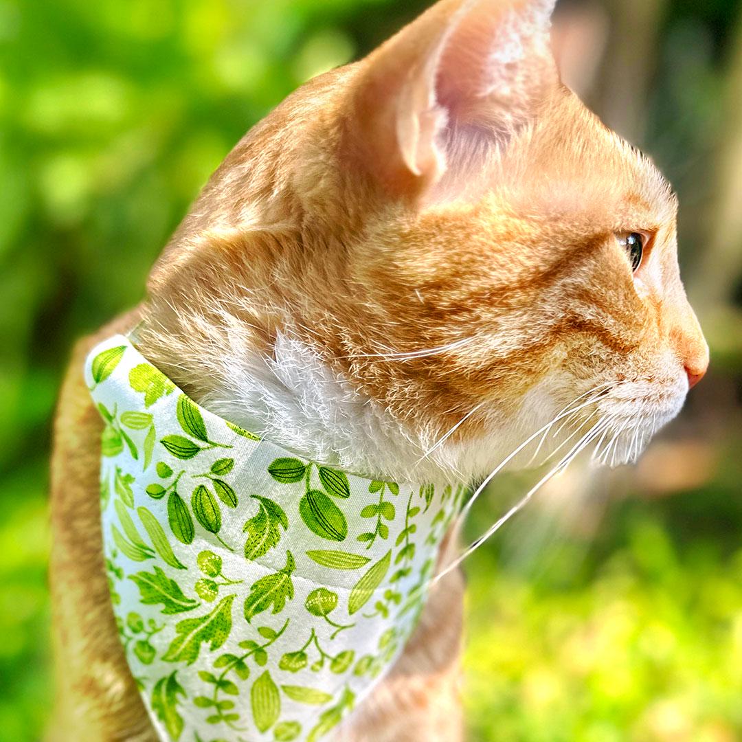 Nature Cat Bandana - "Herb Garden" - Leafy Green Botanical Bandana for Cat + Small Dog / Leaf, Forest, Fern, Basil, Spring, Summer / Slide-on Bandana / Over-the-Collar