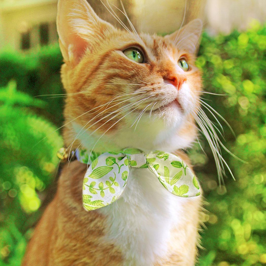 Nature Cat Collar - "Herb Garden" - Botanical Green Cat Collar / Spring, Summer, Basil, Leaf, Fern, Forest / Breakaway Buckle or Non-Breakaway / Cat, Kitten + Small Dog Sizes