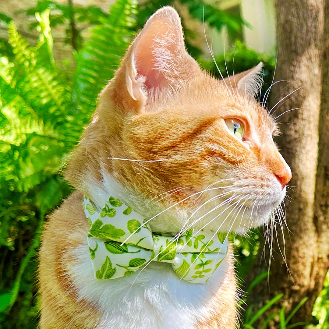 Nature Cat Collar - "Herb Garden" - Botanical Green Cat Collar / Spring, Summer, Basil, Leaf, Fern, Forest / Breakaway Buckle or Non-Breakaway / Cat, Kitten + Small Dog Sizes