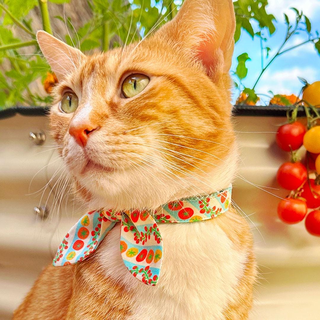 Tomato Cat Bandana - "Tomato Trellis" - Retro Striped Garden Cherry Tomatoes Bandana for Cat + Small Dog / Spring, Summer, Groovy 70s Retro / Slide-on Bandana / Over-the-Collar