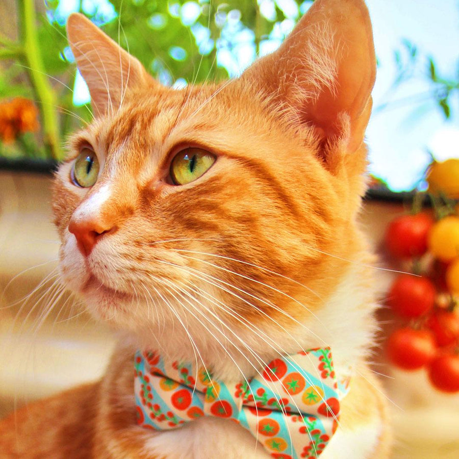 Bow Tie Cat Collar Set - "Tomato Trellis" - Retro Striped Garden Tomato Cat Collar with Bow Tie / Summer, Cherry Tomatoes, Fruits & Veggies / Cat, Kitten, Small Dog Sizes