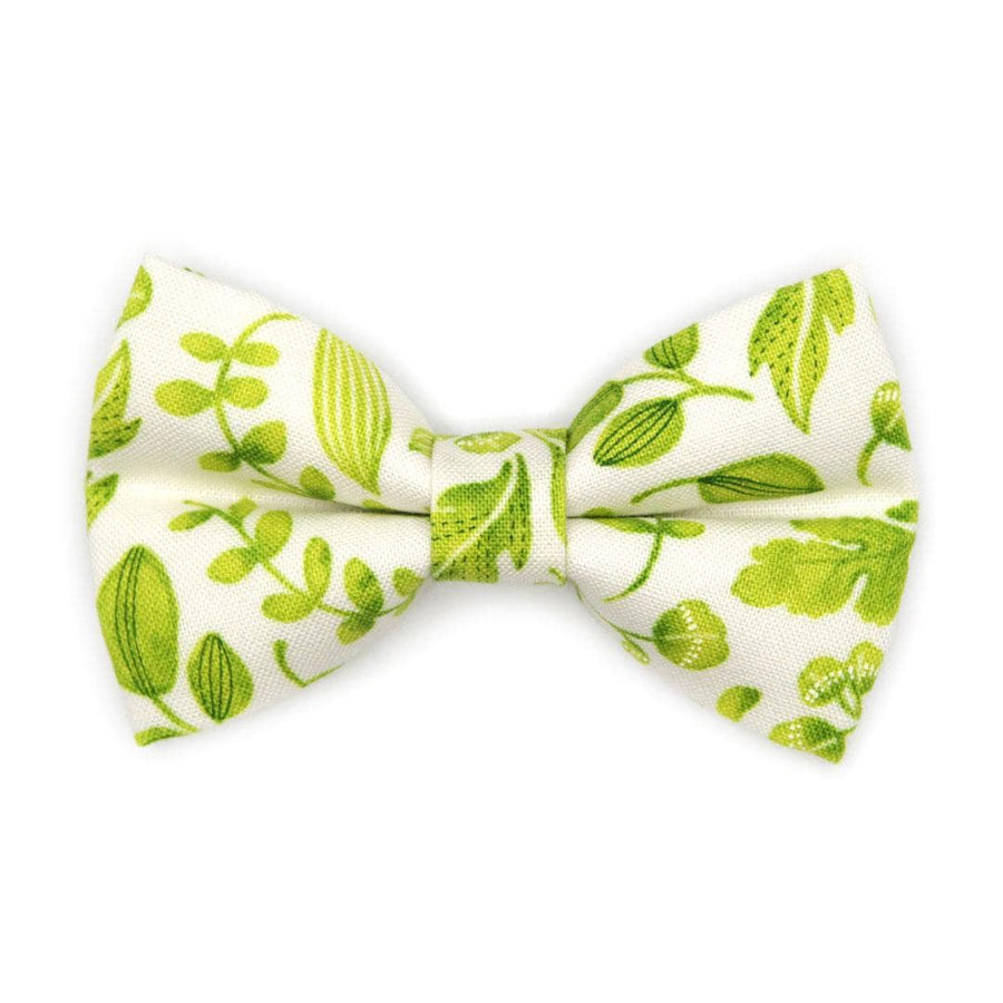 Nature Cat Bow Tie - "Herb Garden" - Botanical Green Leaf Bow Tie for Cat Collar / Basil, Spring, Summer, Forest, Fern / Cat, Kitten + Small Dog Bowtie