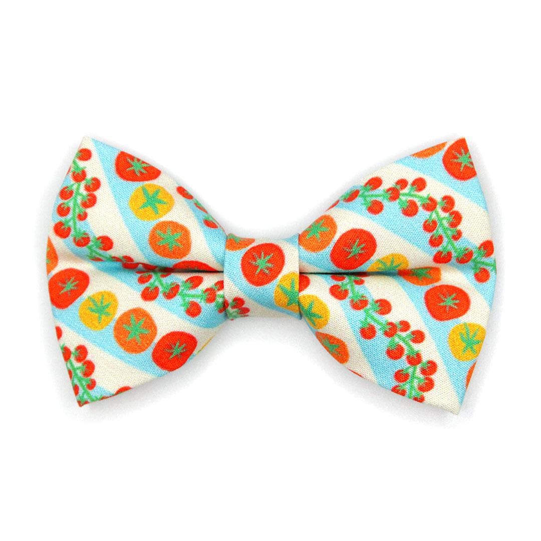 Bow Tie Cat Collar Set - "Tomato Trellis" - Retro Striped Garden Tomato Cat Collar with Bow Tie / Summer, Cherry Tomatoes, Fruits & Veggies / Cat, Kitten, Small Dog Sizes