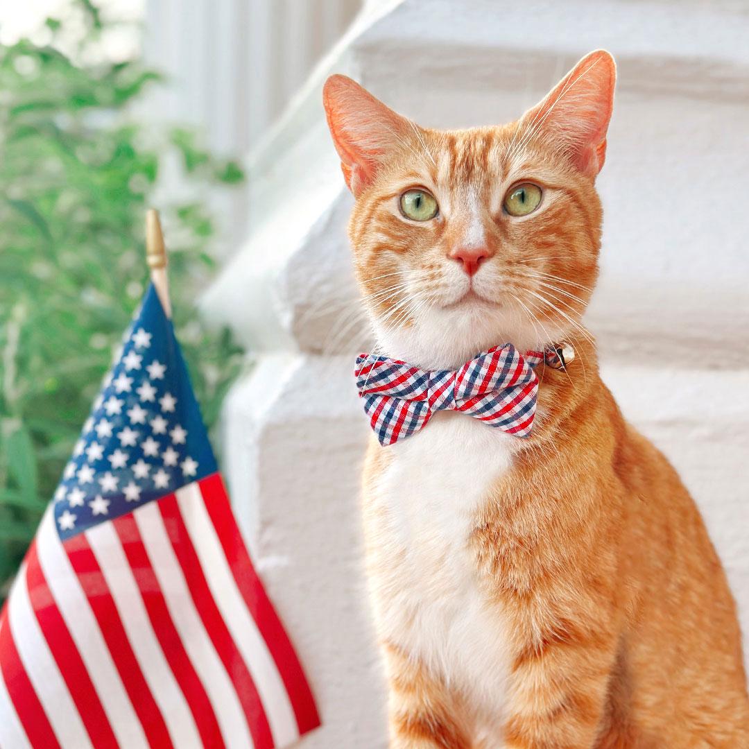 Cat Collar & Bunny Ear Bow Set - "Heritage" - Red Blue Gingham Check Plaid Cat Collar w/ Matching Bunny Bow Tie / Patriotic, Preppy, 4th of July / Tie-On Scarf / Cat, Kitten + Small Dog Sizes