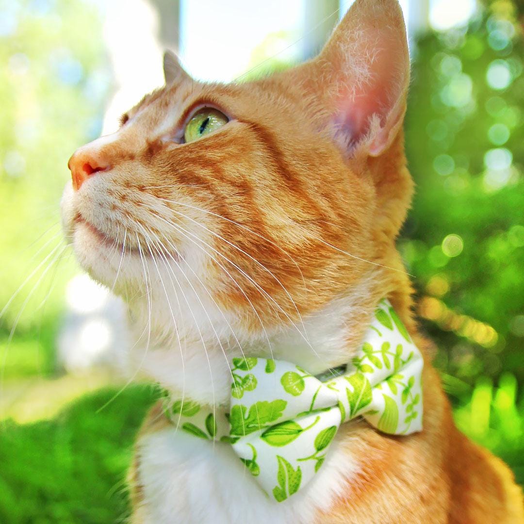 Bow Tie Cat Collar Set - "Herb Garden" - Botanical Green Leaf Cat Collar with Bow Tie / Spring, Summer, Nature / Cat, Kitten, Small Dog Sizes
