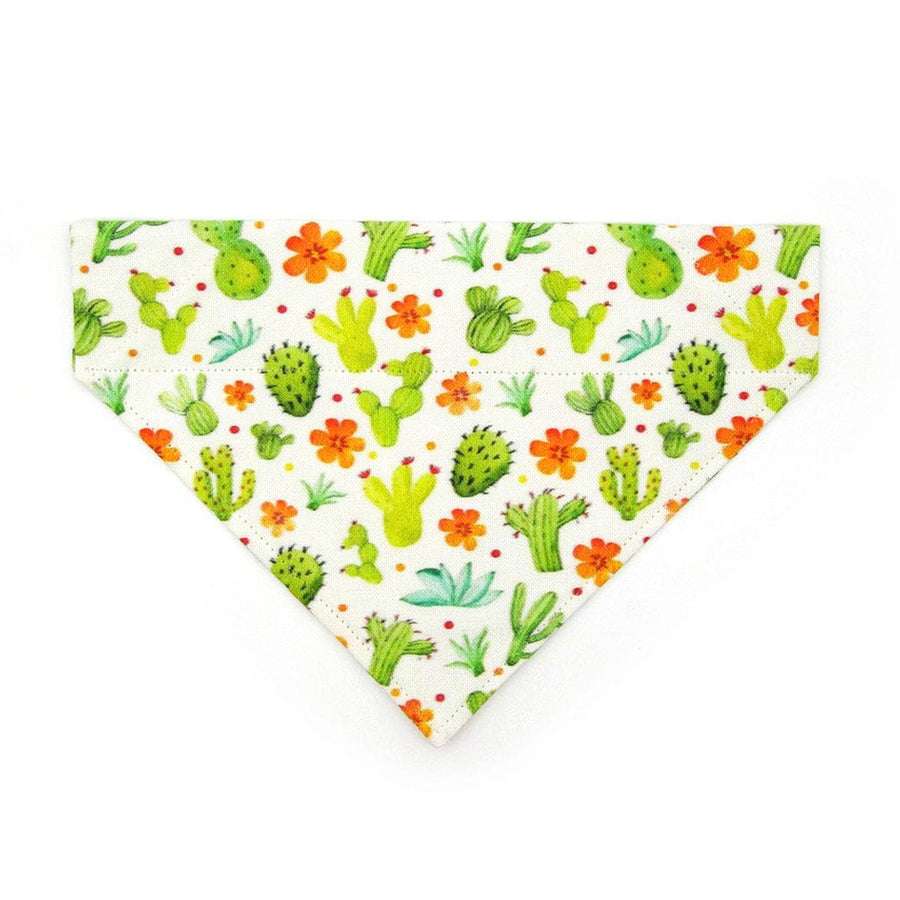 Cactus Cat Bandana - "Desert Dreams" - Southwestern Desert Bandana for Cat + Small Dog / Saguaro, Prickly Pear, Agave, Plants / Slide-on Bandana / Over-the-Collar
