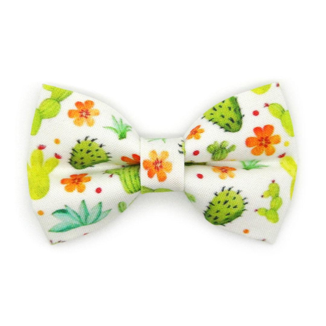 Bow Tie Cat Collar Set - "Desert Dreams" - Green Cactus Cat Collar w/ Matching Bowtie / Southwestern, Saguaro, Prickly Pear, Succulent Plants / Cat + Small Dog