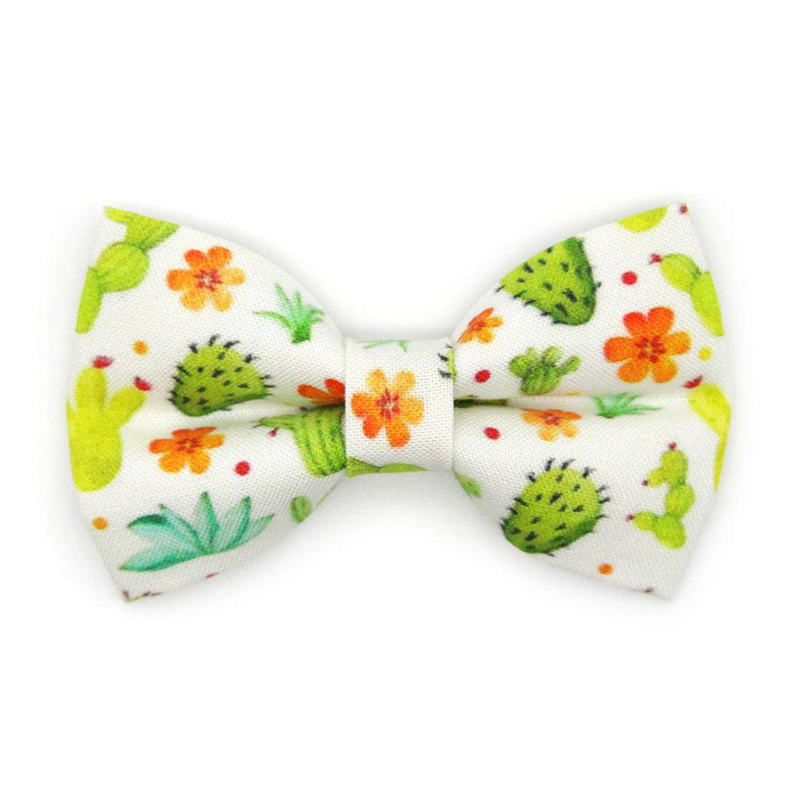 Cactus Cat Bow Tie - "Desert Dreams" - Boho Desert Bow Tie for Cat Collar / Saguaro, Prickly Pear, Succulent, Southwestern / Cat, Kitten + Small Dog Bowtie
