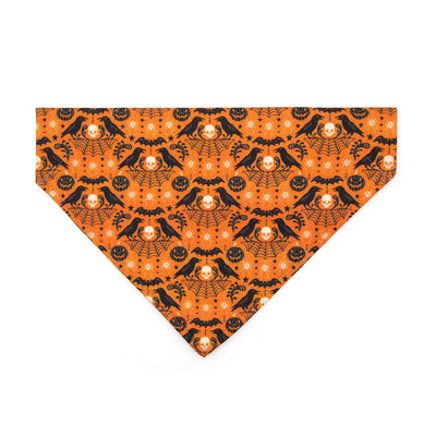 Raven Cat Bandana - "Nevermore" - Orange Halloween Bandana for Cat + Small Dog / Spiderweb, Skull, Gothic / Slide-on Bandana / Over-the-Collar